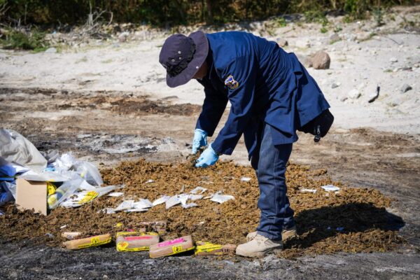 Diferentes tipos de droga fue destruida incautada en 59 procedimientos ejecutados en San Salvador y Santa Ana.