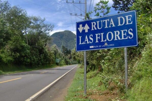 Son 43 kilómetros de Ruta de las Flores