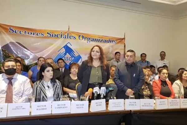 Hardy García candidata a vicepresidencia por Sectores Sociales Organizados