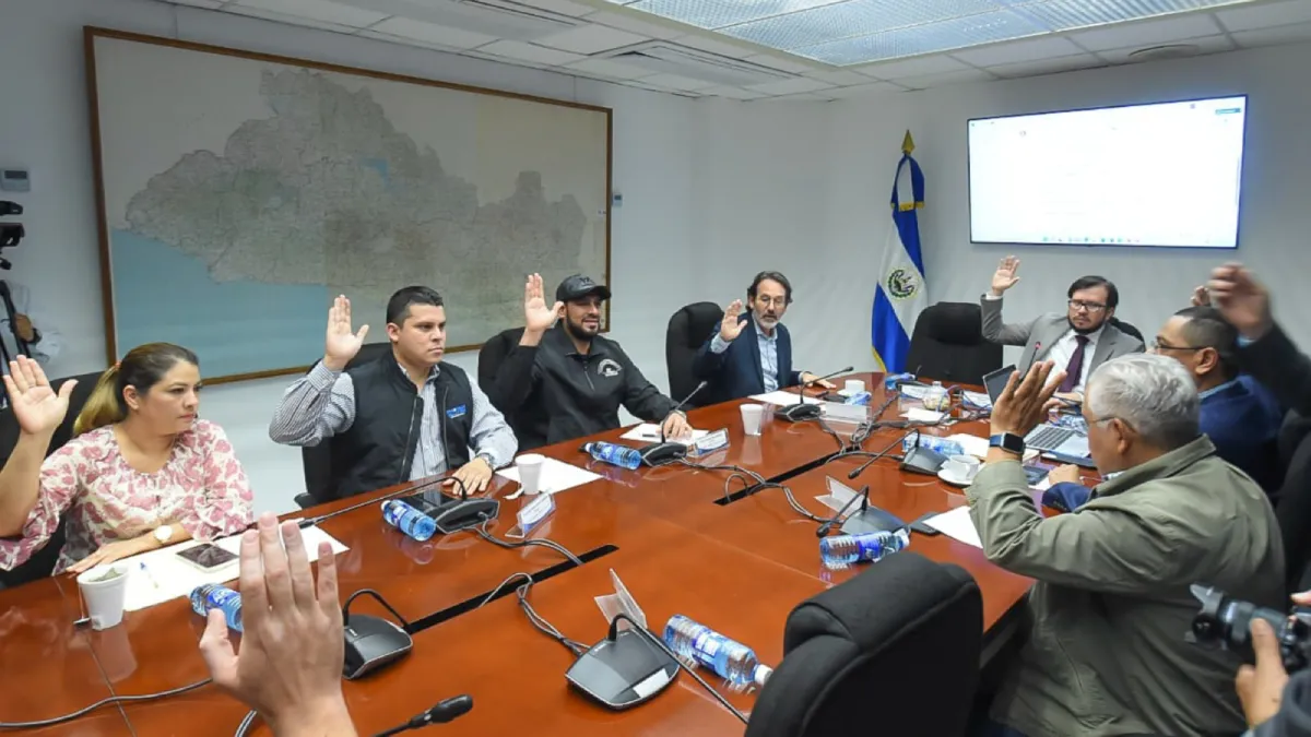 Comisión de Seguridad de la Asamblea Legislativa