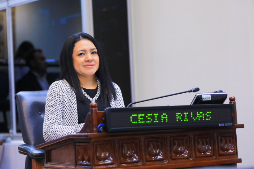 Cesia Rivas: "VAMOS no puede depender de una persona. Ningún partido democrático debería hacerlo"